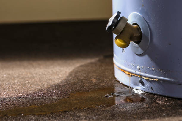 Best 24-hour water damage restoration  in Mooreville, MS