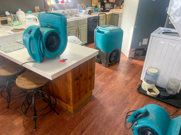 Best Water damage restoration near me  in Mooreville, MS